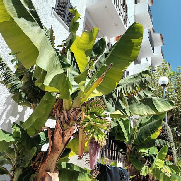 Apartament Nora Velha T1 Tavira Zewnętrze zdjęcie